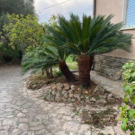 Il Giardino Delle Cycas Daire Romito Magra Dış mekan fotoğraf