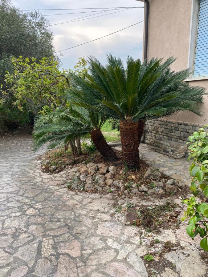 Il Giardino Delle Cycas Daire Romito Magra Dış mekan fotoğraf