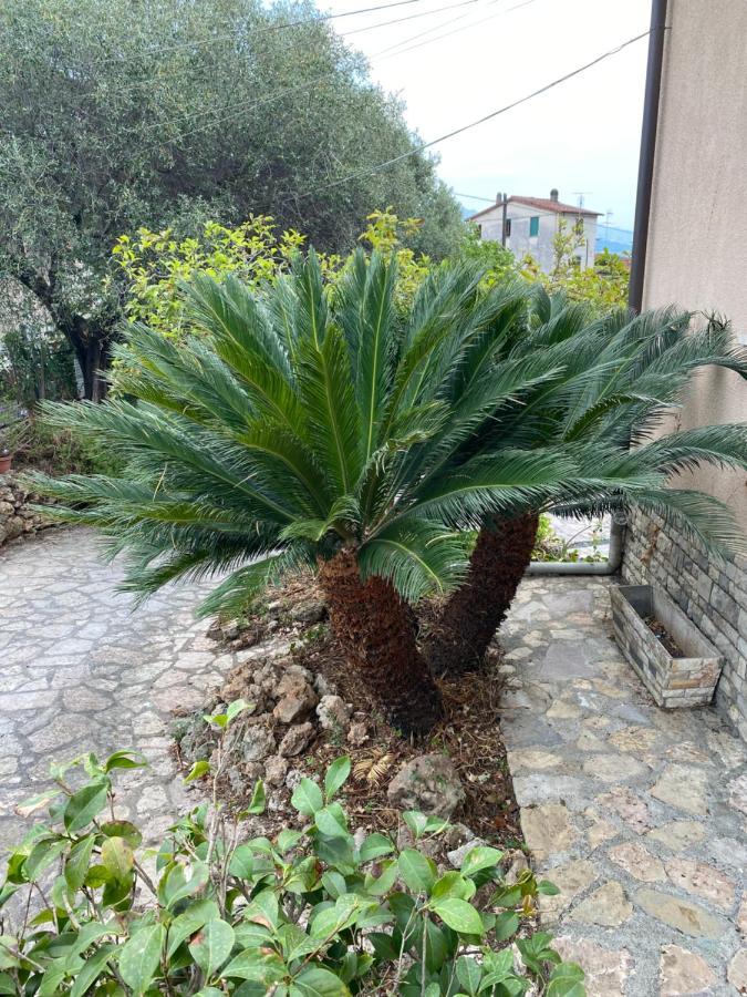 Il Giardino Delle Cycas Daire Romito Magra Dış mekan fotoğraf