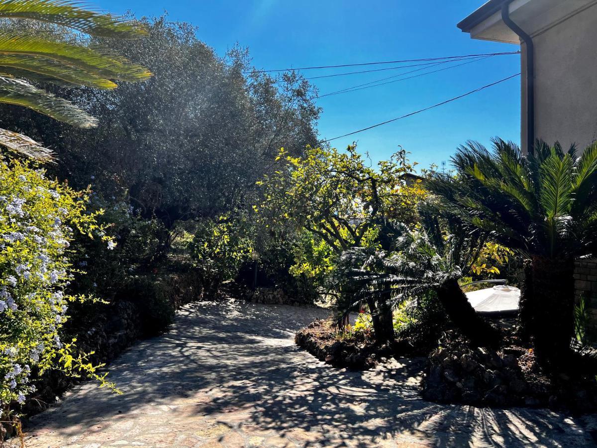 Il Giardino Delle Cycas Daire Romito Magra Dış mekan fotoğraf